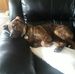Jon Rittenhouse - Facebook