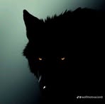 Jonathan Robles - Facebook