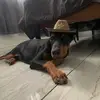 Jonathan Robles - @jonathanr805 - TikTok