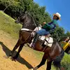 Jonathan Rodriguez🥑🌳🤠 - @jonathanrodriguez372 - TikTok