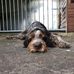 Jonathan Roe - Facebook