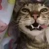 𝓙𝓸𝓷𝓪𝓽𝓱𝓪𝓷😶‍🌫️ - @jonathanrojas1287 - TikTok