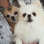 Jonathan Royle - @john_royle1965 - Instagram