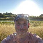 Jonathan Rutter - @goldentruetiger - Instagram