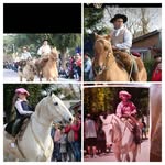 Jonathan Saintpierre - @jonathan.saintpierre.58 - Instagram