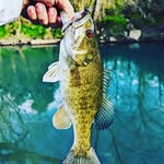 Jonathan Sandifer - @southtn_bassin - Instagram
