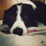 Jonathan Saunders - @jonathan.saunders.921 - Instagram