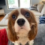 Jonathan Saunders - @jonathansaunders21 - Instagram