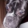 Jonathan Saxton - @jonathan.saxton2 - TikTok