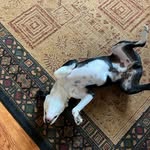 Jonathan Seale - @seale8045 - Instagram