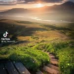 Jonathan Sealey - @sealeyjonathan - Instagram