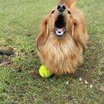 Jonathan Jan Seamons - @jonathanjanseamons - Instagram