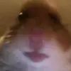 user2609091431301 - @jonathan_serrano - TikTok