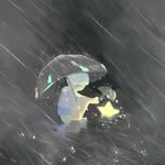 Jonathan Shao - @jjjshaos - Instagram