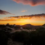 Jonathan Shenk - Facebook