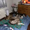 Jonathan Shepherd - @jonathanandabby08_22_17 - TikTok