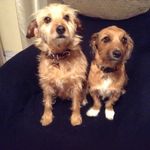 Jonathan Shepherd-Stubbs - @jonathanshepherdstubbs - Instagram
