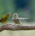 Jonathan Shine - Facebook