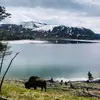 Jonathan Shine - @jonathan.shine - TikTok