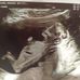 Johnathan Shutt - Facebook