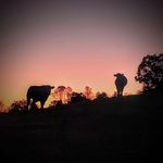 Jonathan Shuttle - @jonathan_shuttle - Instagram