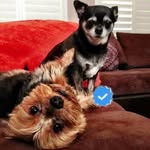 Jonathan Silver Scott - @_silverjonathanscott - Instagram