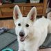 Jonathan Simard - Facebook