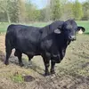 Jonathan Simpson - @jonathan.simpson993 - TikTok