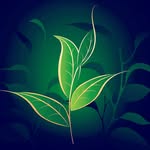jonathan spada - @jonnyboy_01923 - Instagram