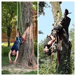 Jonathan Speck - @jonathan.speck.144 - Instagram