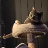 jonathan spiers - @jonathan.spiers - TikTok