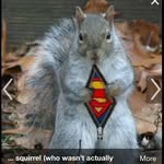 Jonathan Sprinkle - @jeffenboberswithpork - Instagram
