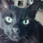 Jonathan St Clair - @writestuff214 - Instagram