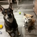 @jonathan_jimago_stella - Instagram