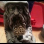 Jonathan Stelzer - @sirsmokealotjr - Instagram