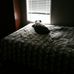 Jonathan Stockwell - Facebook