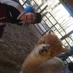 Jonathan Sugarman - @sugarman420 - Instagram