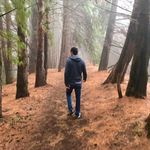 Jonathan Sutton - @jsuttonh - Instagram