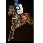 Jonathan Sweeney - @sweeney2911 - Instagram