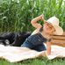 Jonathan Taub - Facebook
