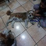 Jonathan Tejada - @jonathantejada - Instagram