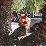 Jonathan Tejada - @t_.jonathan - Instagram