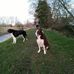 Jonathan Trick - Facebook