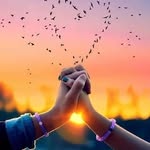 Jonathan Timmermans - @jonathan.timmermans.12 - Instagram