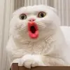 jonathan_todd_25.1.199 - @jonathan_todd_25.1.199 - TikTok
