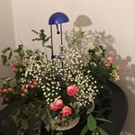 Jonathan Townsend - @jonathantownsend80 - Instagram