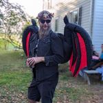 Jonathan Townsend - @myotis_septentrionalis - Instagram