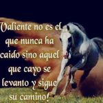 Jonathan Ureña - @ujonathanurena4 - Instagram