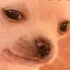 Jonathan :// - @jonathantutu - TikTok