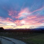 jonathan vallon - @jonathan.vallon - Instagram